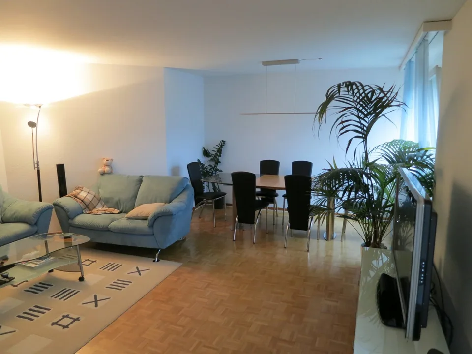 3.5 Zimmer Wohnung mit Top Aussicht in Degersheim