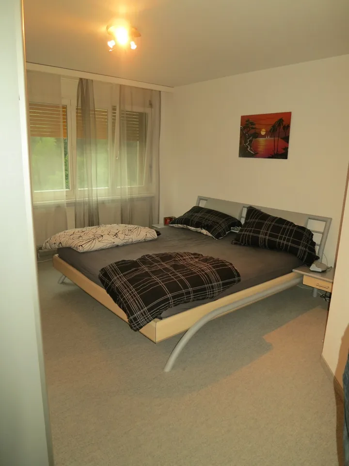 3.5 Zimmer Wohnung mit Top Aussicht in Degersheim