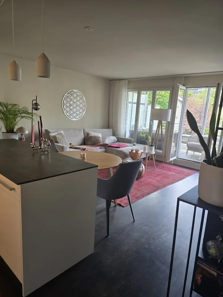 Terrassenwohnung 7 min von Baden Bahnhof