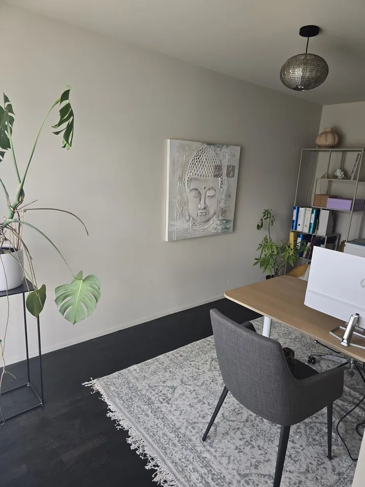 Terrassenwohnung 7 min von Baden Bahnhof