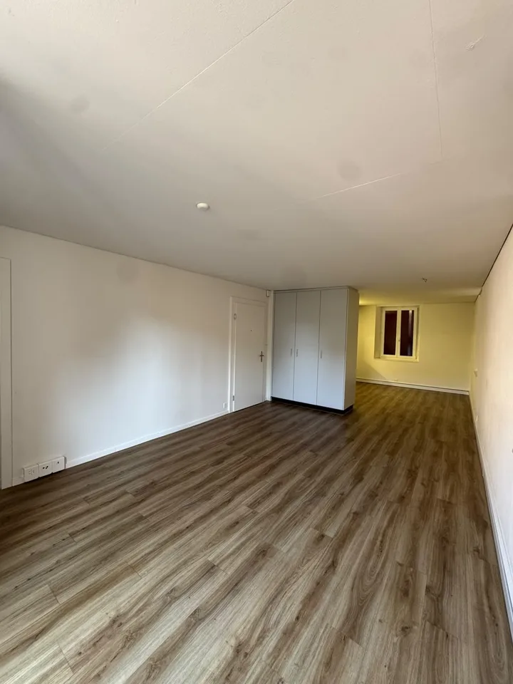 Wunderschöne 1.5-Zimmer-Wohnung in Dietikon