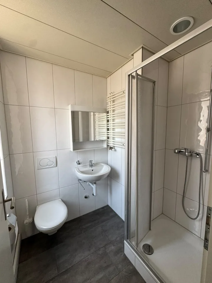 Wunderschöne 1.5-Zimmer-Wohnung in Dietikon