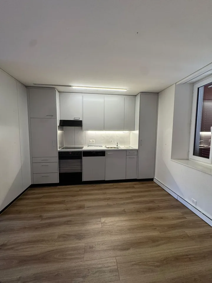 Wunderschöne 1.5-Zimmer-Wohnung in Dietikon