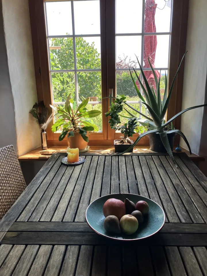 Landhaus-WG nahe Zürich