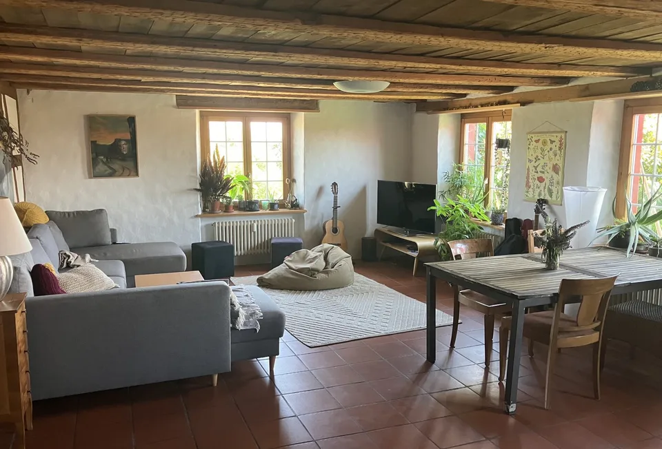 Landhaus-WG nahe Zürich