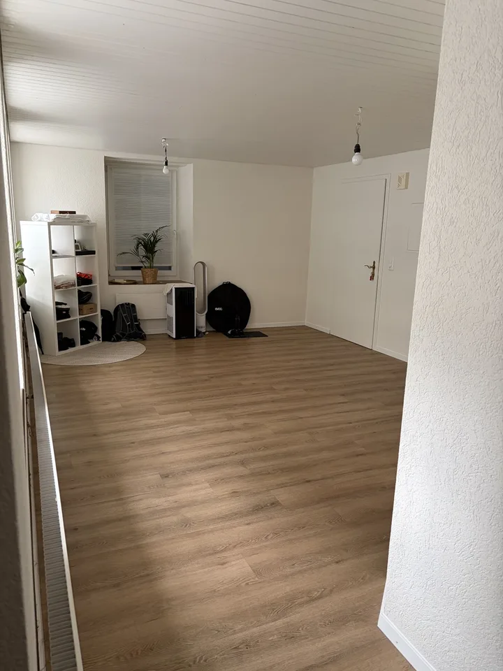 Erstbezug nach Sanierung: Helle 1.5-Zimmer-Wohnung