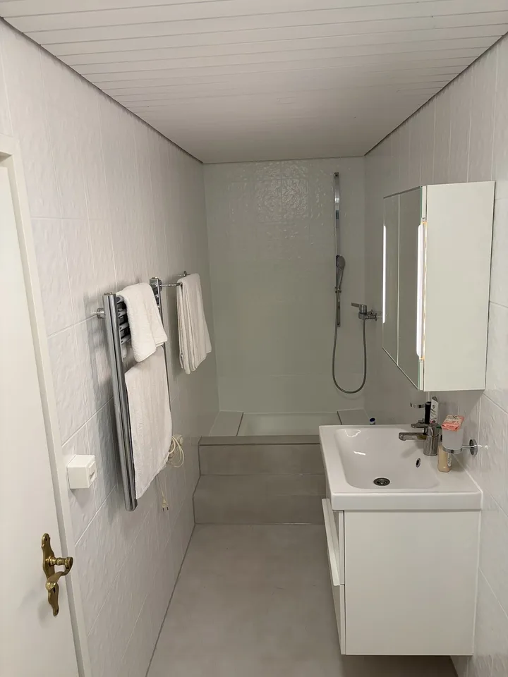Erstbezug nach Sanierung: Helle 1.5-Zimmer-Wohnung
