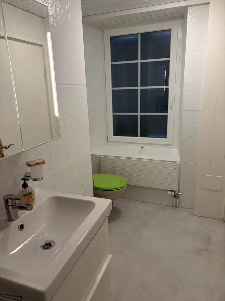 Erstbezug nach Sanierung: Helle 1.5-Zimmer-Wohnung