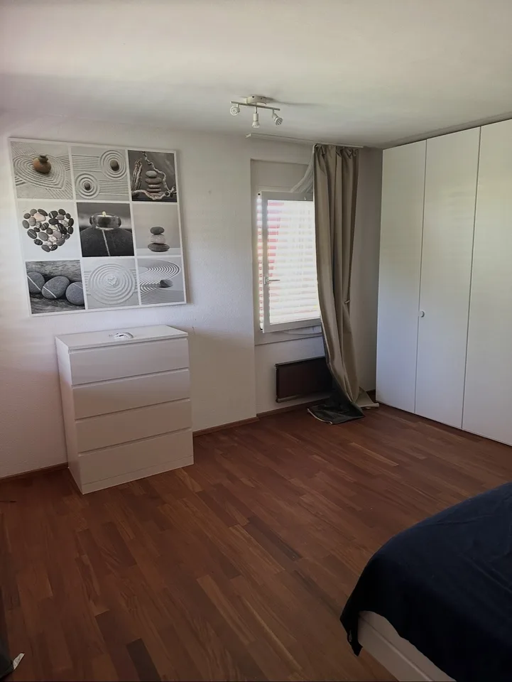 Nachmieter gesucht: Traumhafte 5.5-Zimmer-Wohnung (165 m²) mit Garten & Garage in Birmensdorf ZH