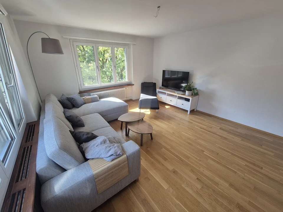 Möblierte 3-Zimmer-Wohnung in zentraler Lage in Solothurn