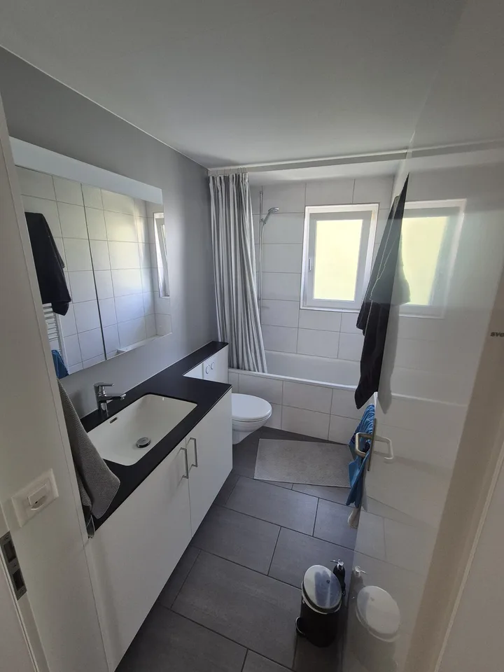 Möblierte 3-Zimmer-Wohnung in zentraler Lage in Solothurn
