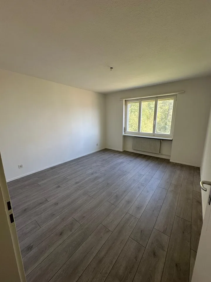 Charmante 3.5-Zimmer-Wohnung in Aarau – sofort verfügbar!
