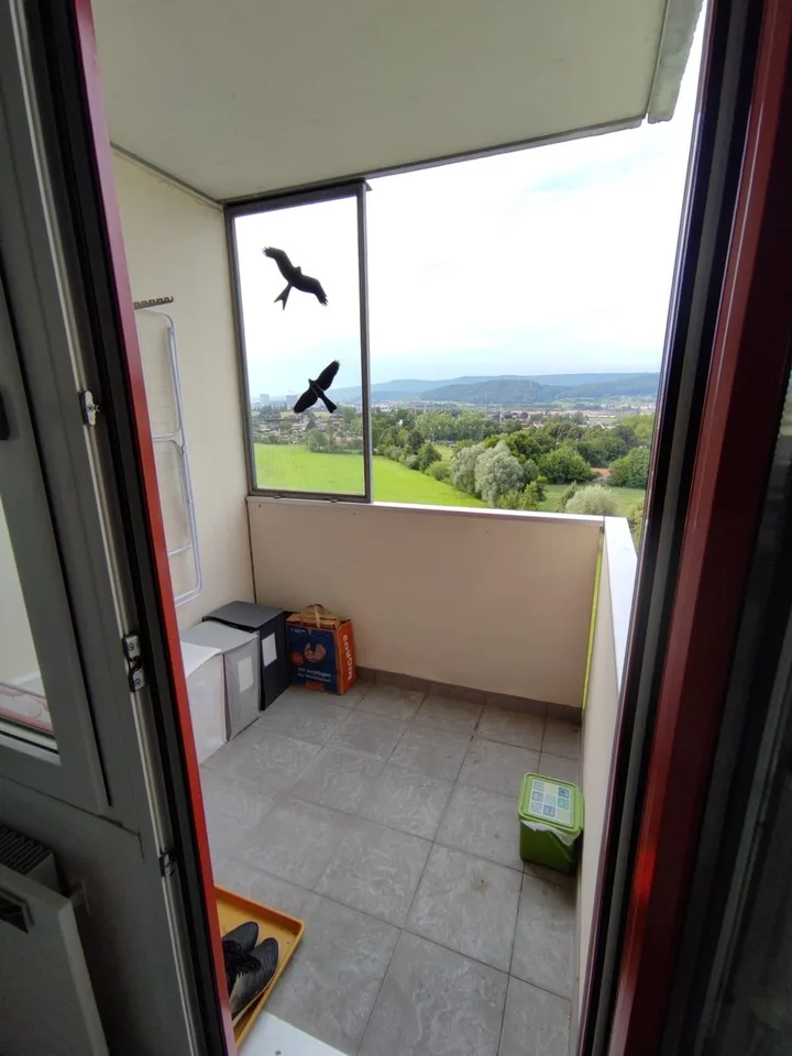 Pied-à-terre in Dietikon