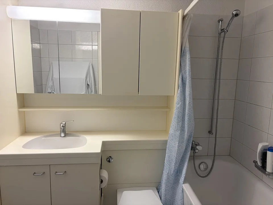 Charmante 1-Zimmer-Wohnung mit sonnigem Südwestbalkon in Dietikon