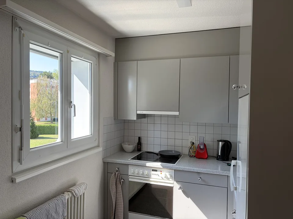 Charmante 1-Zimmer-Wohnung mit sonnigem Südwestbalkon in Dietikon