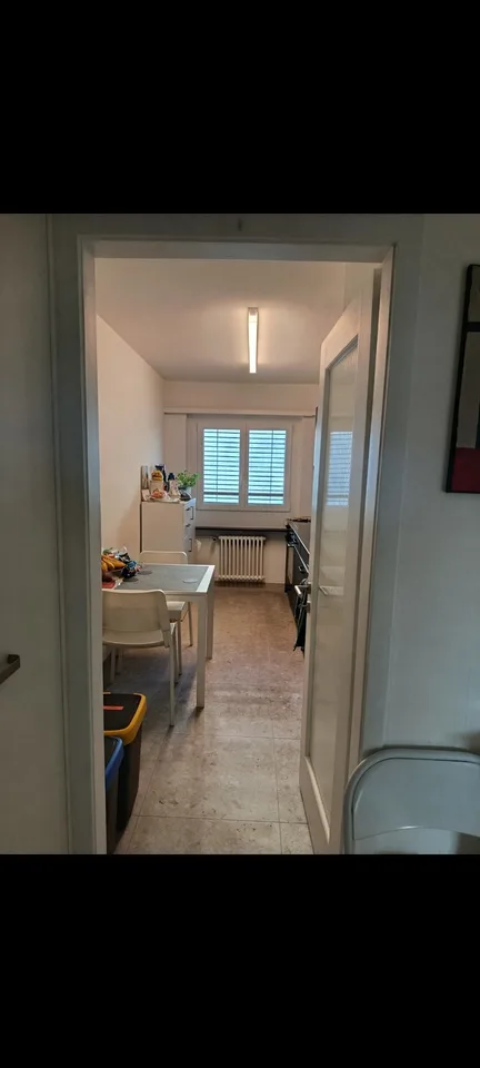 Helle 2-Zimmer-Wohnung an zentraler Lage in Olten