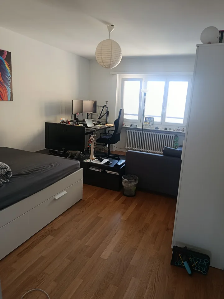 Helle 2-Zimmer-Wohnung an zentraler Lage in Olten