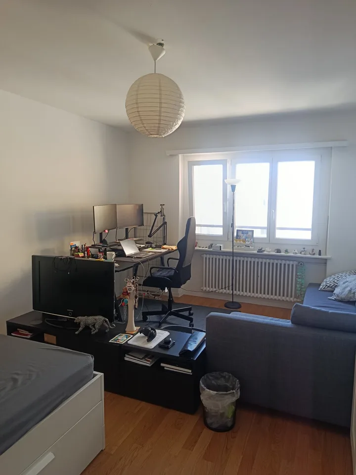 Helle 2-Zimmer-Wohnung an zentraler Lage in Olten