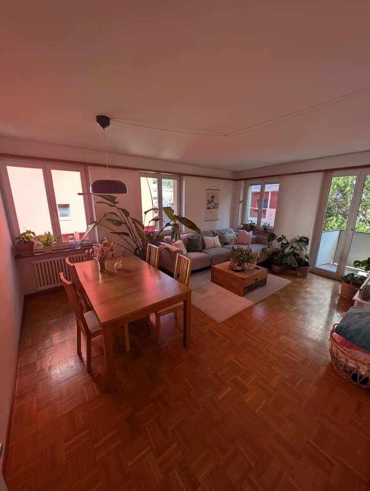 Shared room in Baden for rent
