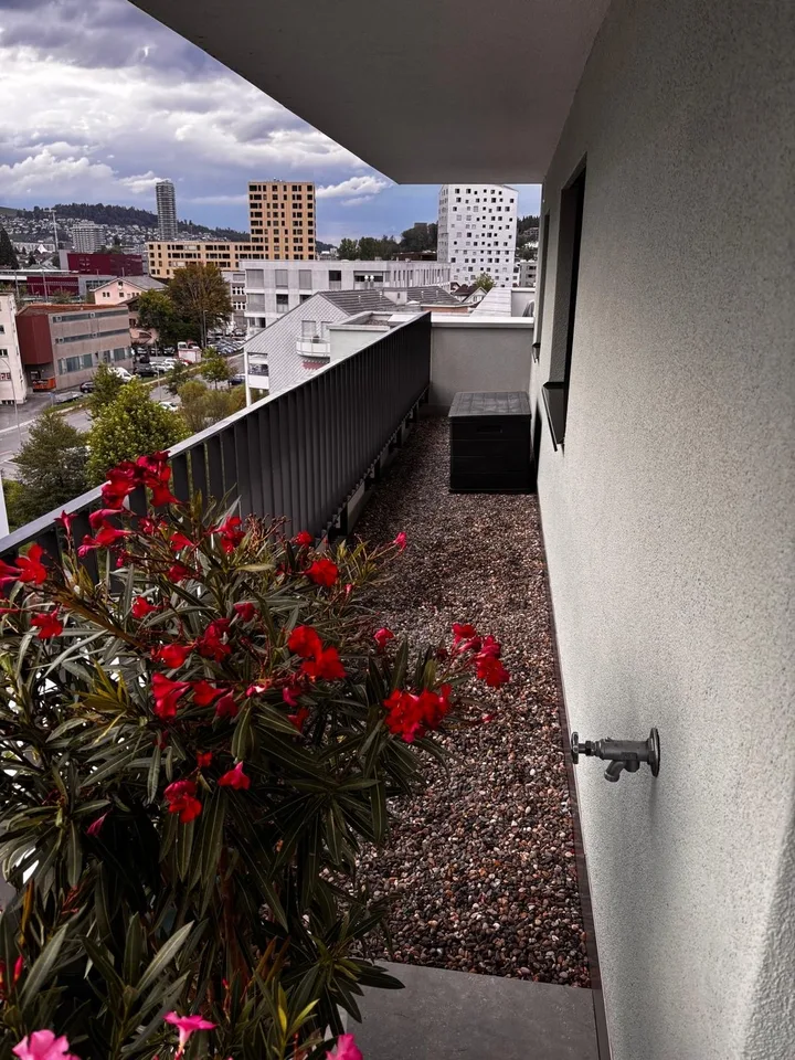 Exklusive Attikawohnung in Horw riesige Terrasse, Top-Aussicht & Bahnanbindung