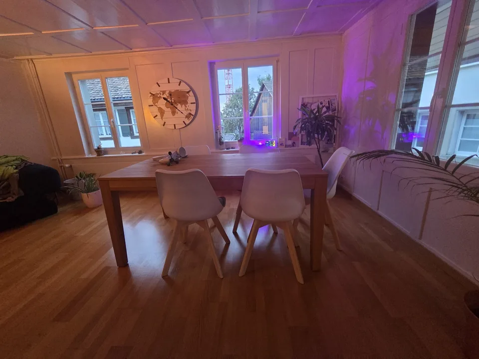 Möblierte Wohnung (temporär)
