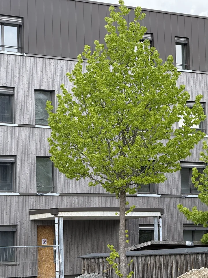 Erstvermietung TOP - Attikawohnung mit 112m2-Terrasse