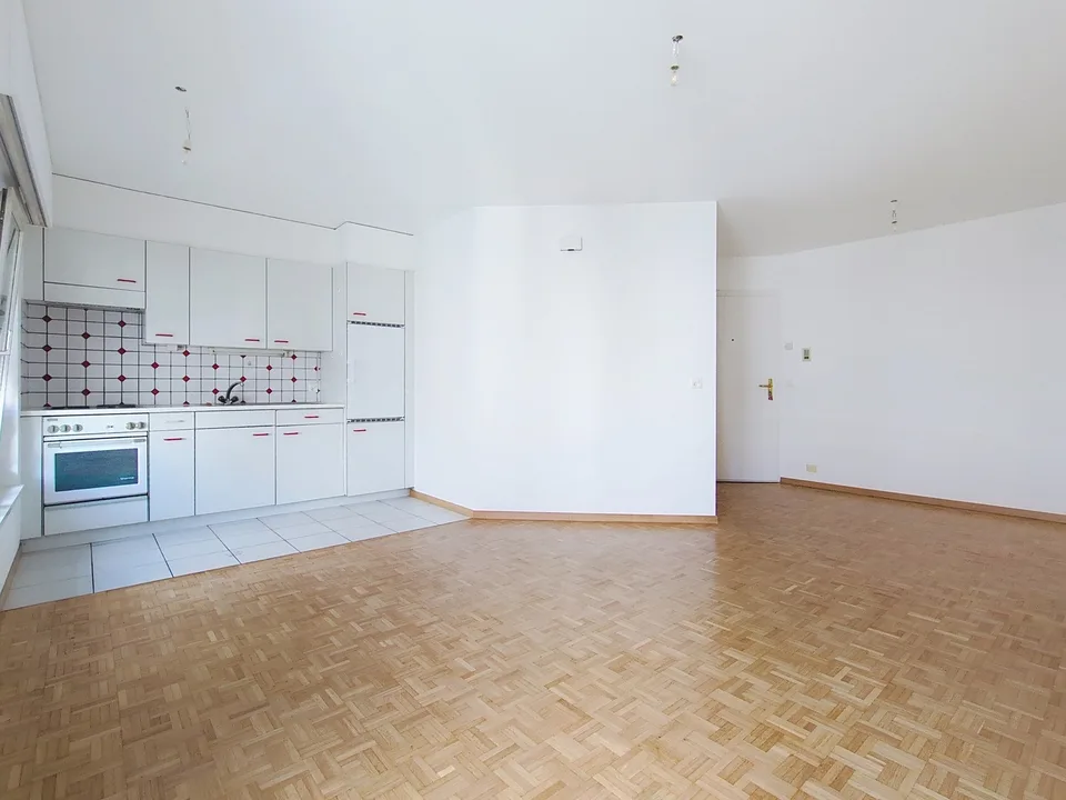 1.5 Apartment for Rent in Sion
