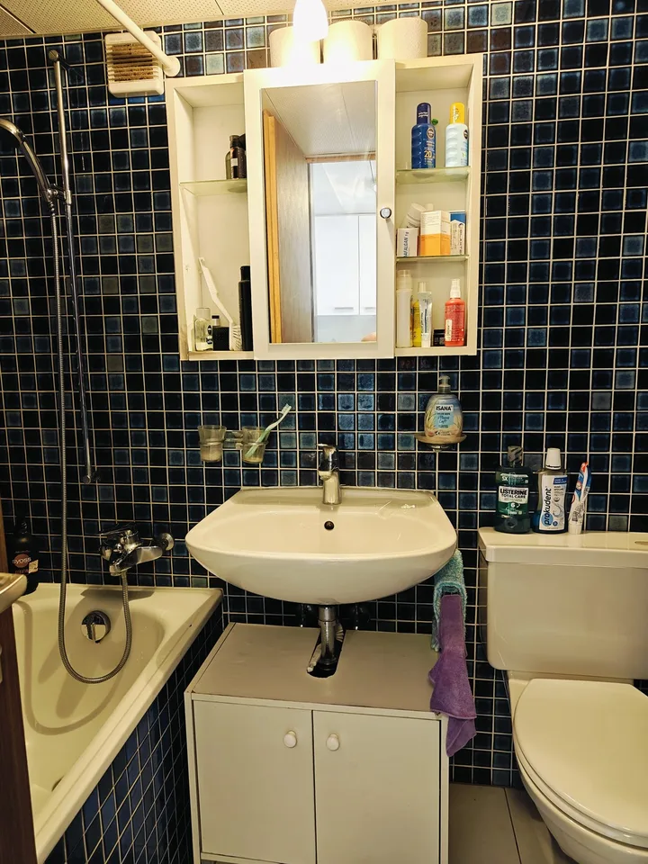 Möbiliertes 1.5-Zimmer-Studio mit Bergblick in Naters