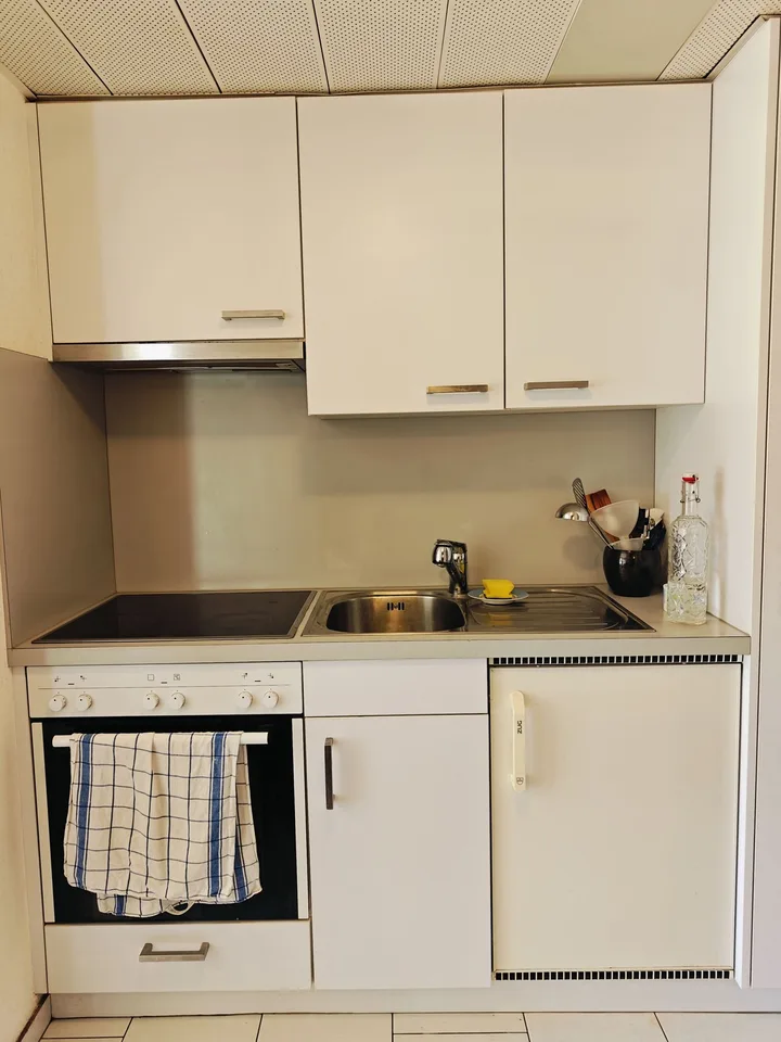 Möbiliertes 1.5-Zimmer-Studio mit Bergblick in Naters