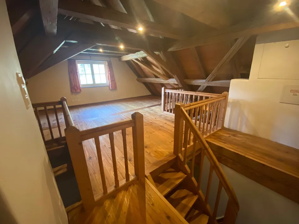 Grosses WG-Zimmer im Grünen