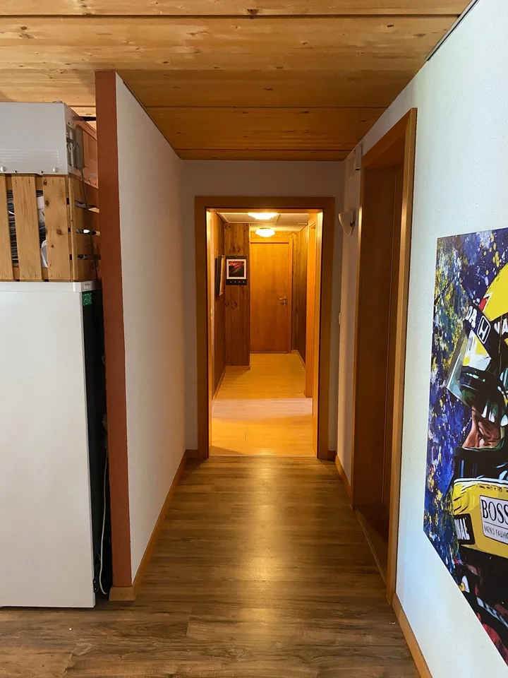 hlleimelige renovierte Wohnung zu vermieten