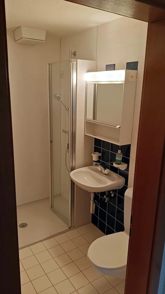 Komfortable Studiowohnung in Wiesendangen