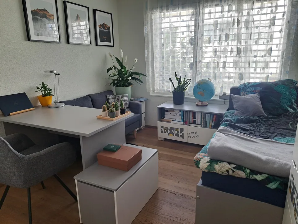 Moderne, teilmöblierte 4.5-Zimmer-Wohnung in Birmensdorf ZH zur befristeten Untermiete