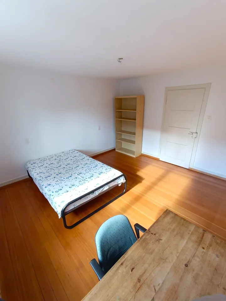 Bright, big and centric room in Kloten