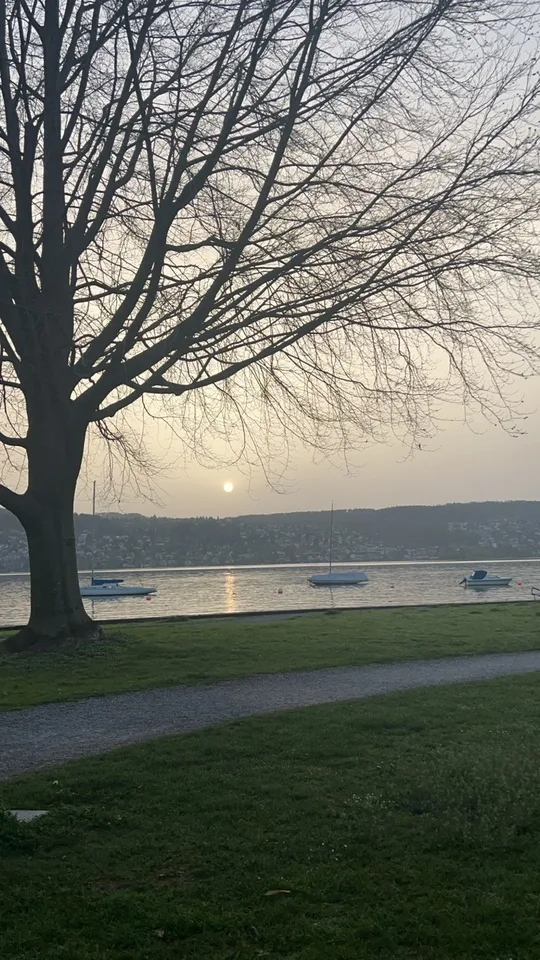 Charmante WG-Zimmer am Zürichsee