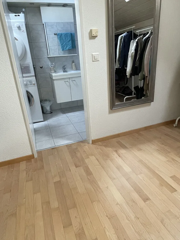 Temporary fully furnished flat