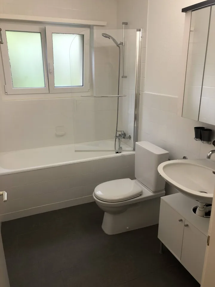 Bright 4-Room Apartment with Large Balcony & Beautiful Lägern Views – Replacement Tenant Wanted