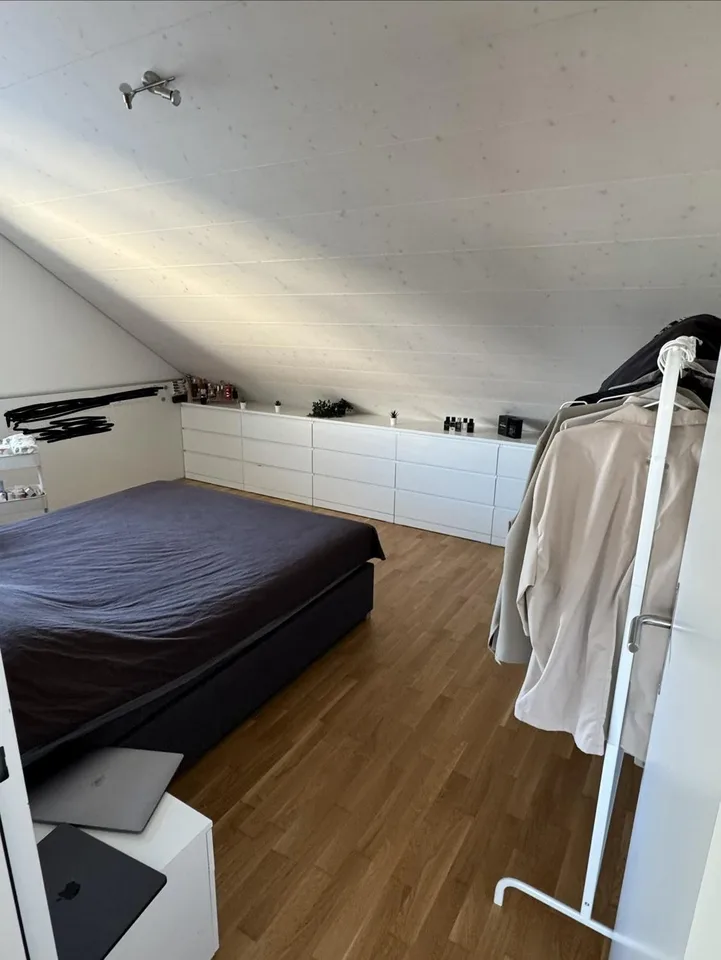 3.5 Zimmer Wohnung mit ca 6m Spitzdach