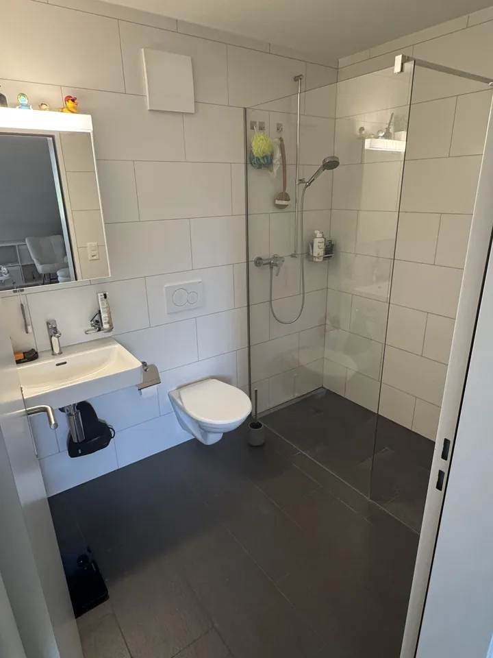 3.5 Zimmer Wohnung mit ca 6m Spitzdach