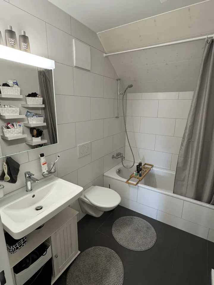 3.5 Zimmer Wohnung mit ca 6m Spitzdach