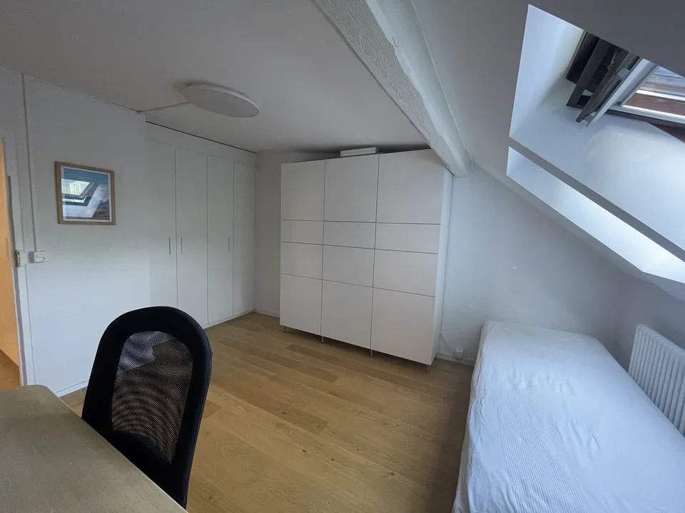 Außergewöhnliche Lage: 5-Zimmer-Wohnung renoviert – Foto 5 von 10