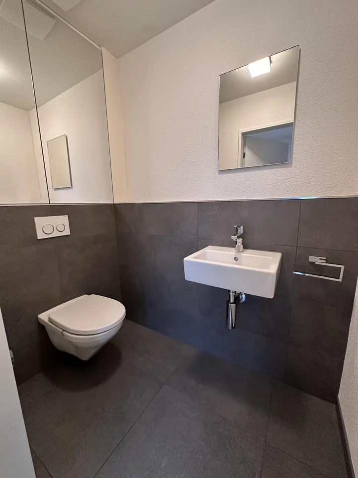 Wunderschönes 5.5-Zimmer-Familienhaus | ca. 240 m² | Garten | 10 Min. von Zug