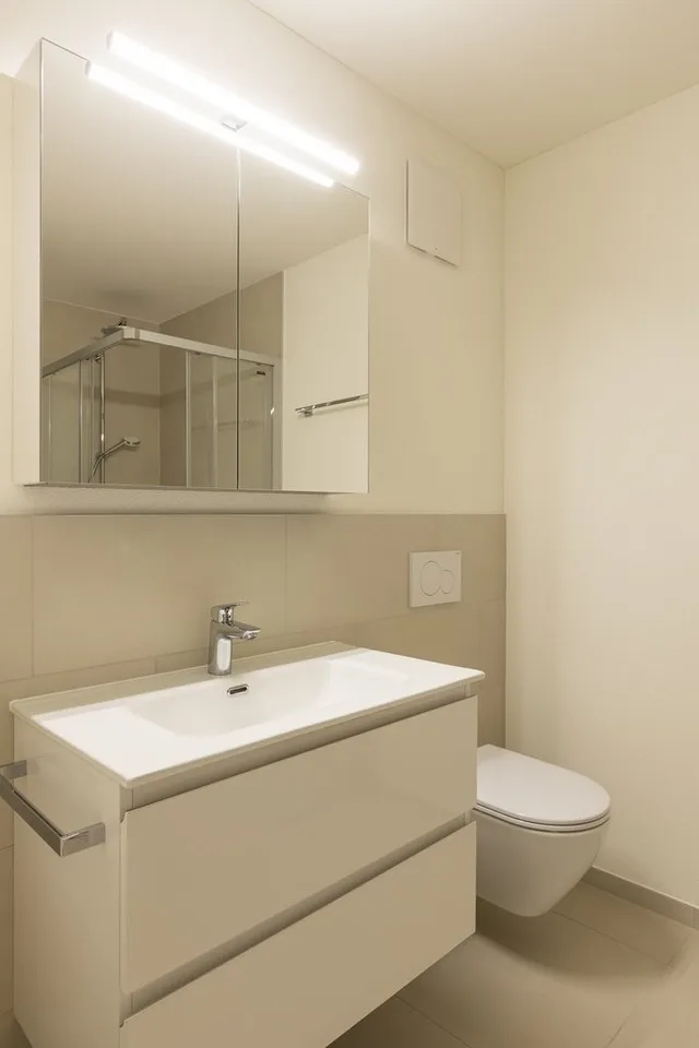 Mieten Sie 2.5 moderne und helle Räume in Tenero