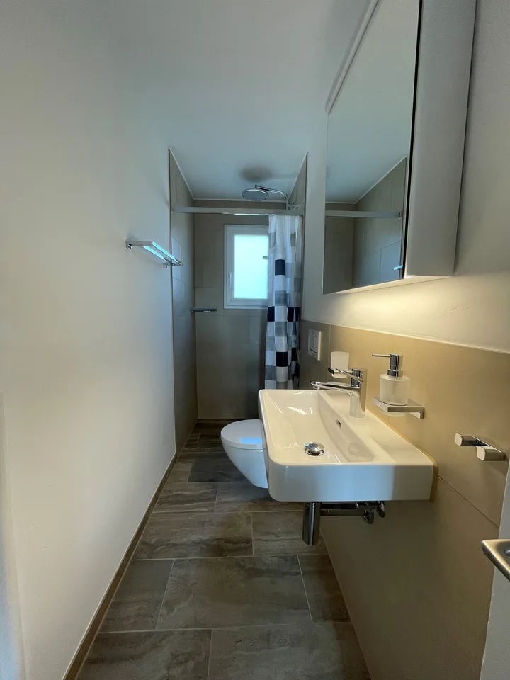 2.5-room apartment in prime location in Spreitenbach