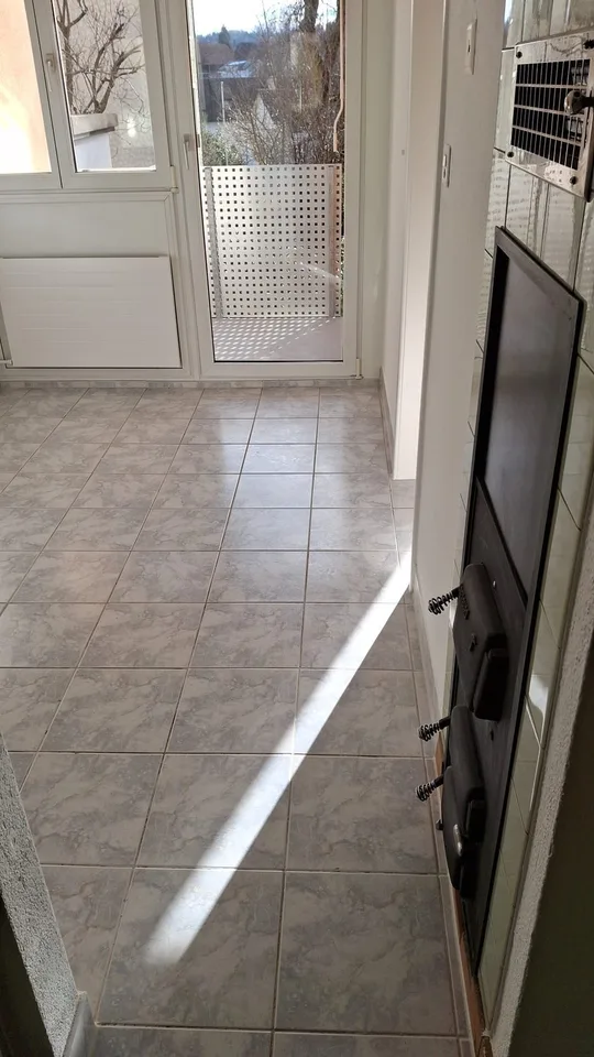 Grosszügige Wohnung im Hochparterre