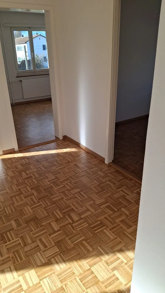 Grosszügige Wohnung im Hochparterre