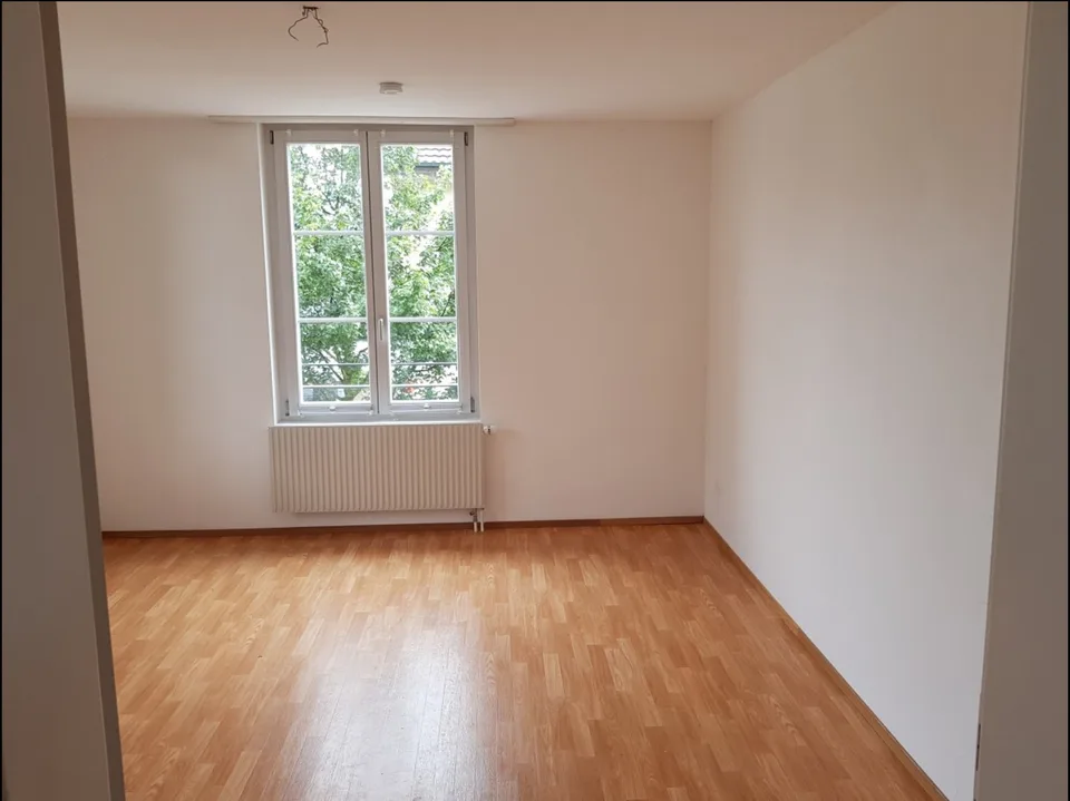 2.5-room apartment in the quiet residential area of Lerchenfeld