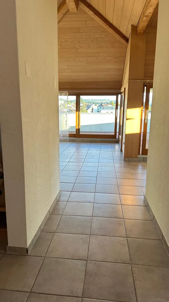 Appartement familial de rêve de 6,5 pièces avec 200m², terrasse & vue sur les Alpes - Sandgasse 15, Reinach AG