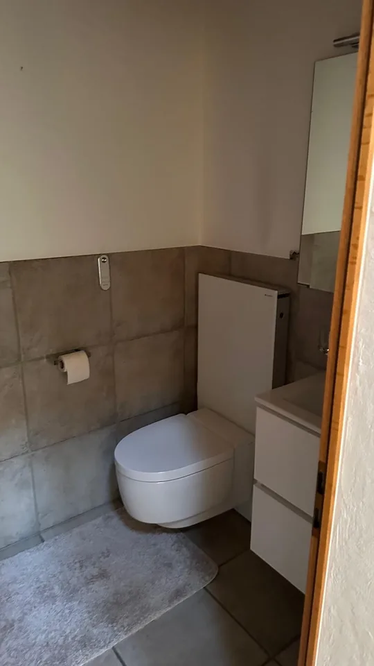 Appartement familial de rêve de 6,5 pièces avec 200m², terrasse & vue sur les Alpes - Sandgasse 15, Reinach AG