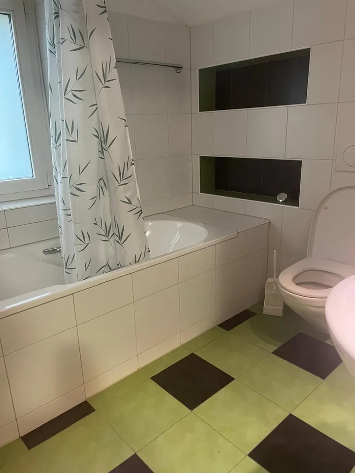 möbilierte Dachwohnung zentral und doch ruhig (befristet)